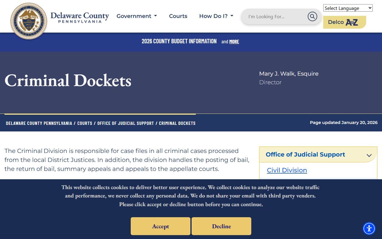 Delaware County criminal dockets page showing case search interface for felony records