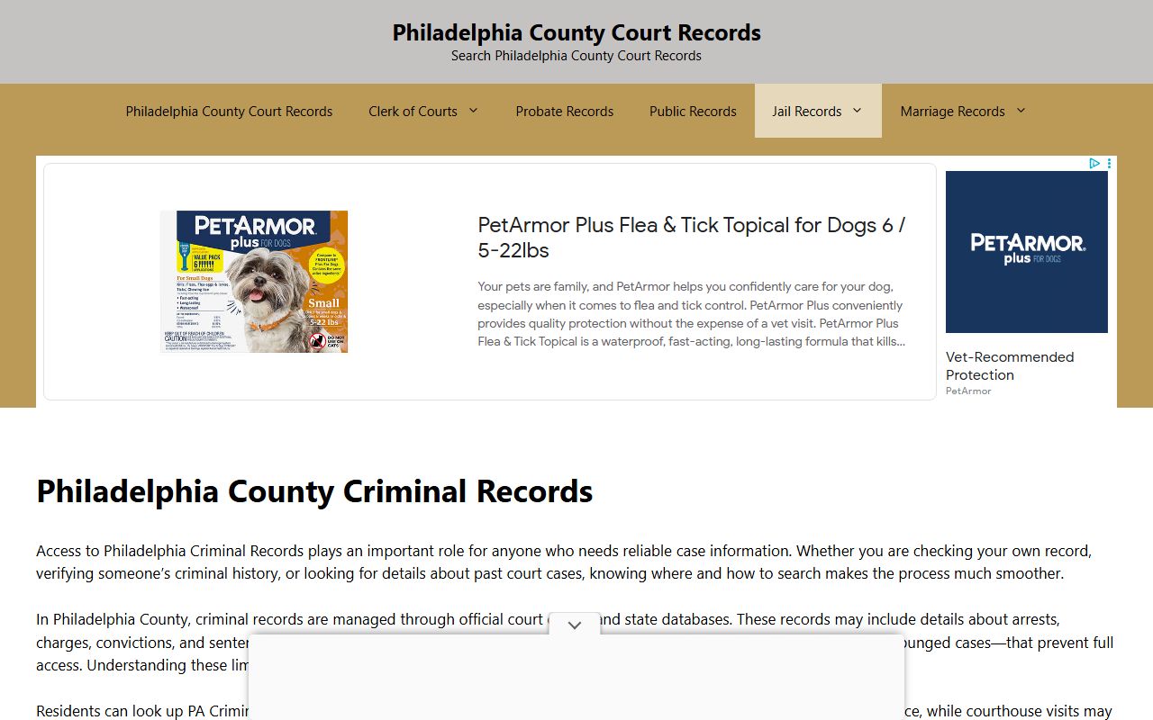 Philadelphia criminal records search for felony cases